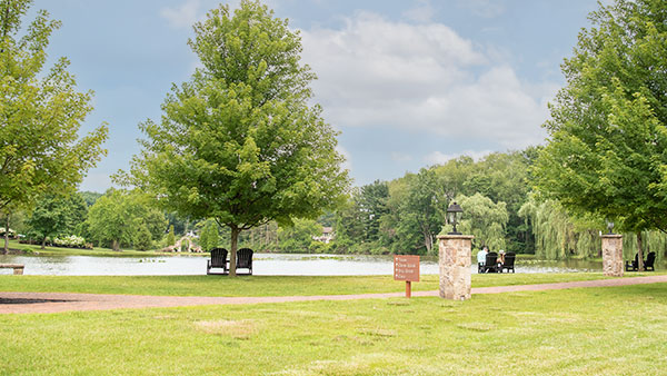 Gervasi’s Photogenic Side