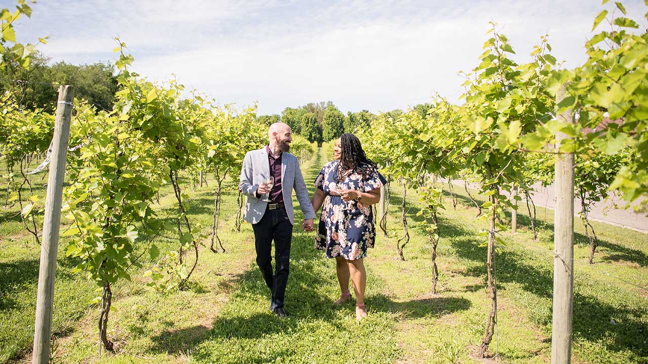 Couple walking through lush vineyard rows at Gervasi Vineyard, holding hands and sipping wine during a sunny afternoon.