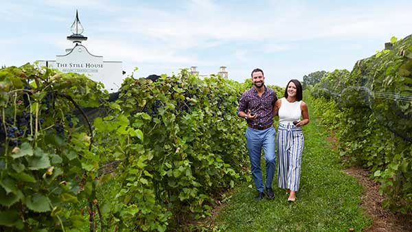 Couple enjoying a wine tasting walk through the vineyard at Gervasi Vineyard with the Still House distillery in the background.