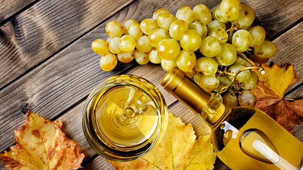 New Fall Wine at Gervasi