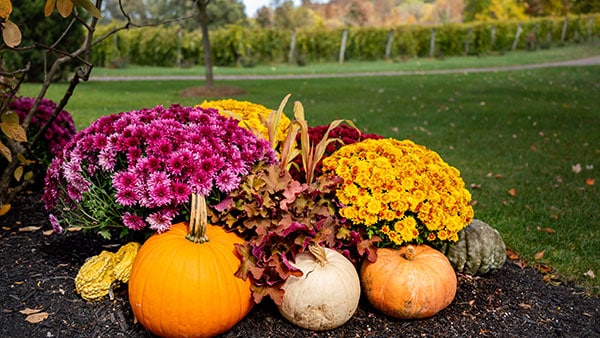 Seasonal Specials at The Spa