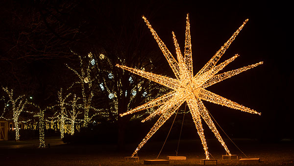 A giant illuminated Christmas star sculpture glows on the Gervasi Vineyard grounds in Canton, Ohio, with surrounding trees wrapped in twinkling holiday lights.