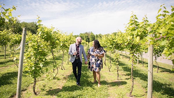 Couple walking through the sunny vineyard at Gervasi Vineyard in summer, sipping wine and enjoying the vines.