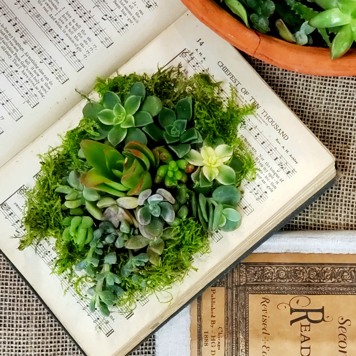 Planted & Poured: Succulent Book Workshop