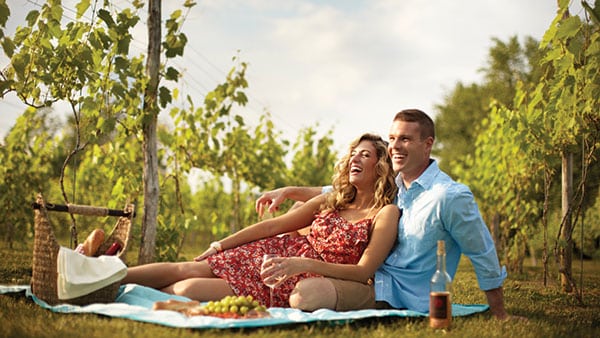 Couple enjoying a romantic summer picnic in the vineyard at Gervasi Vineyard with rosé wine and fresh fruit.